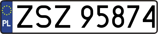 ZSZ95874