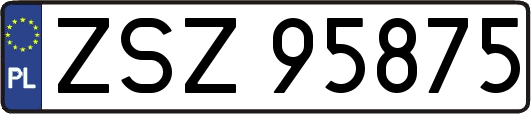 ZSZ95875