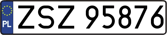 ZSZ95876