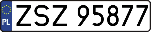 ZSZ95877