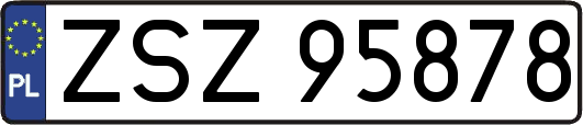 ZSZ95878