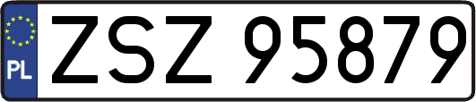 ZSZ95879