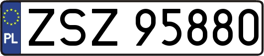 ZSZ95880