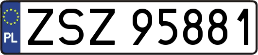 ZSZ95881
