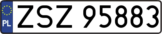 ZSZ95883