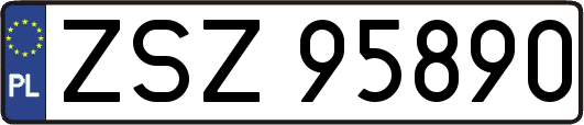 ZSZ95890
