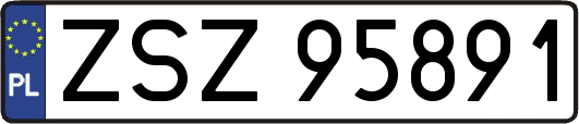 ZSZ95891