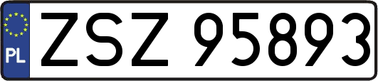 ZSZ95893