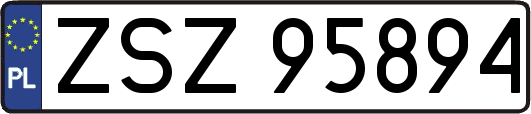 ZSZ95894