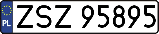 ZSZ95895