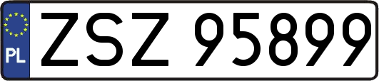 ZSZ95899