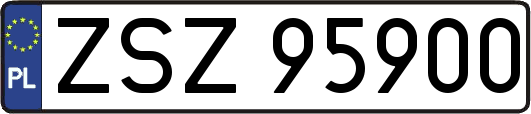 ZSZ95900