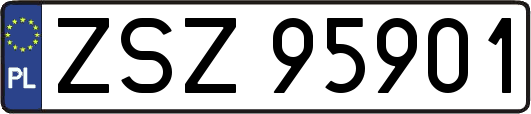 ZSZ95901