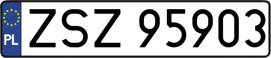 ZSZ95903