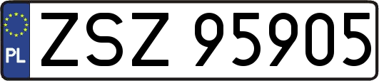 ZSZ95905