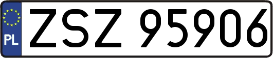 ZSZ95906