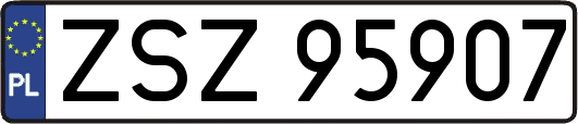 ZSZ95907
