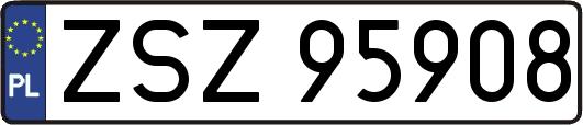 ZSZ95908