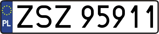 ZSZ95911