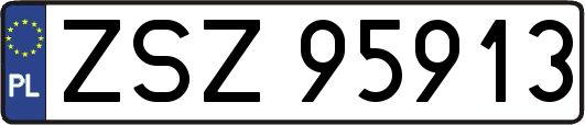 ZSZ95913