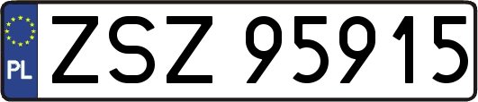 ZSZ95915