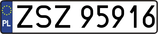 ZSZ95916