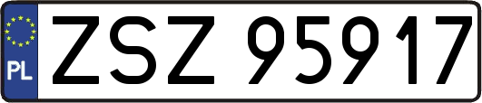 ZSZ95917