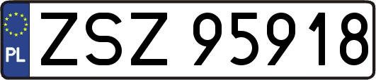 ZSZ95918