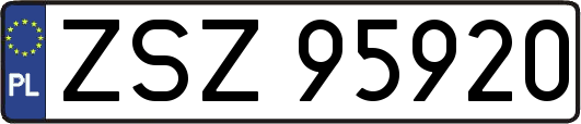 ZSZ95920