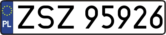ZSZ95926
