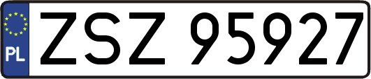 ZSZ95927