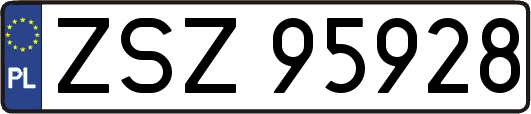 ZSZ95928