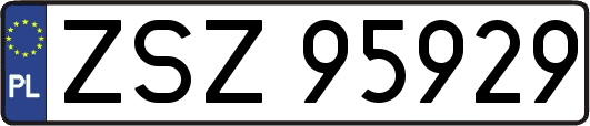 ZSZ95929