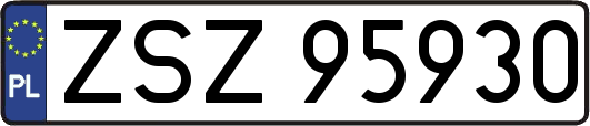 ZSZ95930