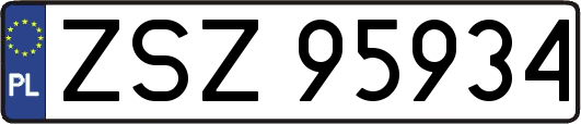 ZSZ95934