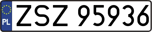 ZSZ95936