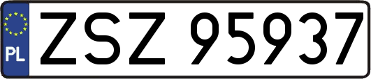 ZSZ95937