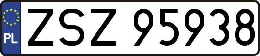 ZSZ95938