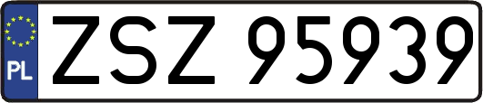 ZSZ95939