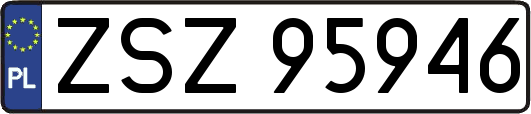 ZSZ95946