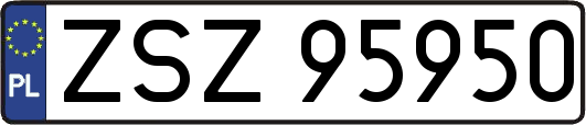 ZSZ95950