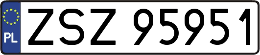 ZSZ95951
