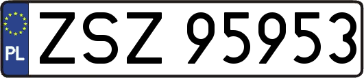 ZSZ95953