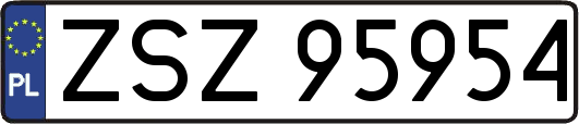 ZSZ95954