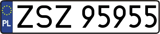 ZSZ95955