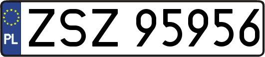 ZSZ95956