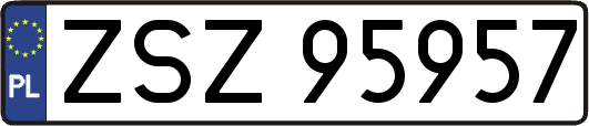 ZSZ95957