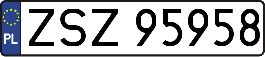 ZSZ95958
