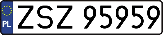 ZSZ95959