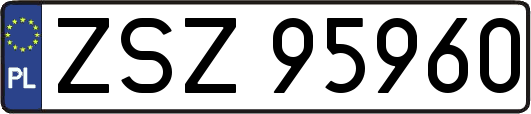 ZSZ95960